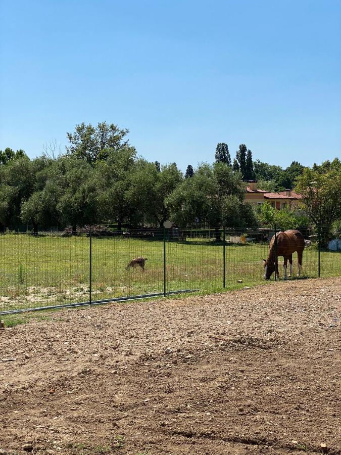 Hotel I Broletti del Garda Pacengo Di Lazise Esterno foto